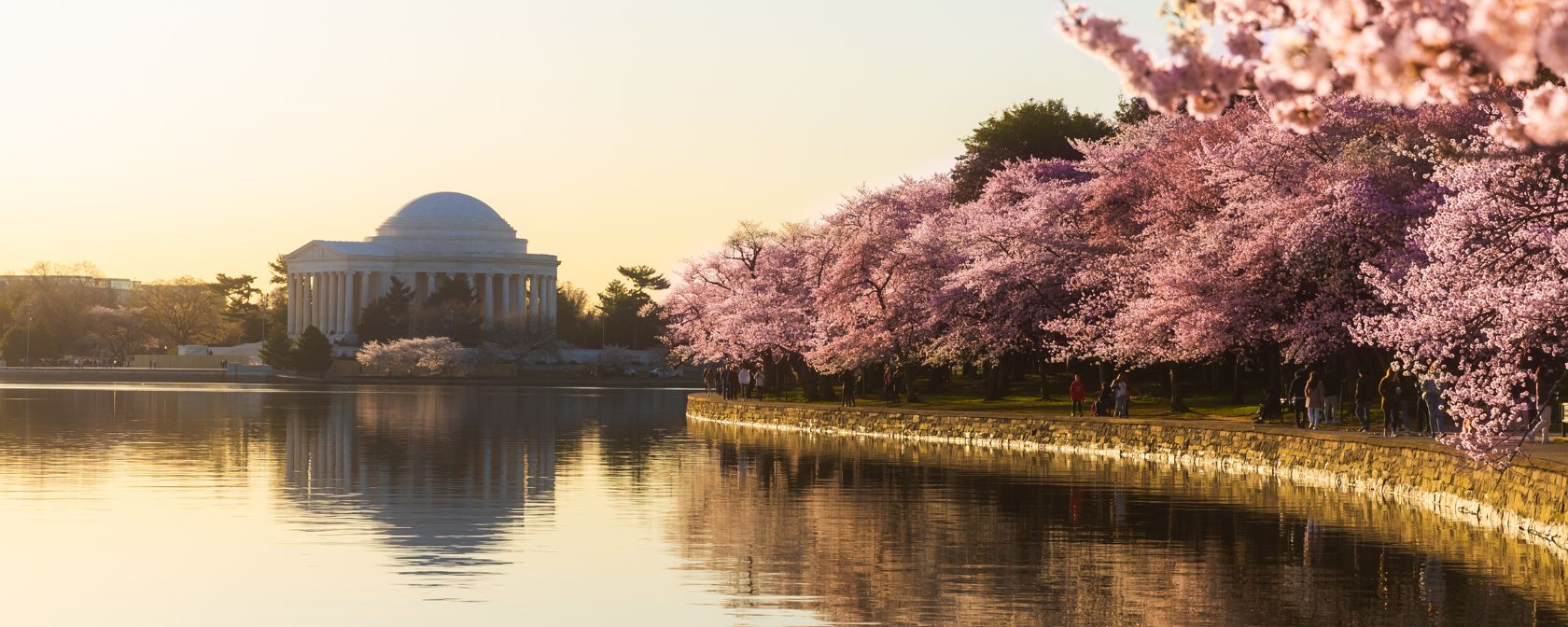 Guide to the National Cherry Blossom Festival in Washington DC